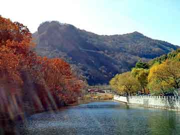 管家婆黑白马报图库，泛目录程序